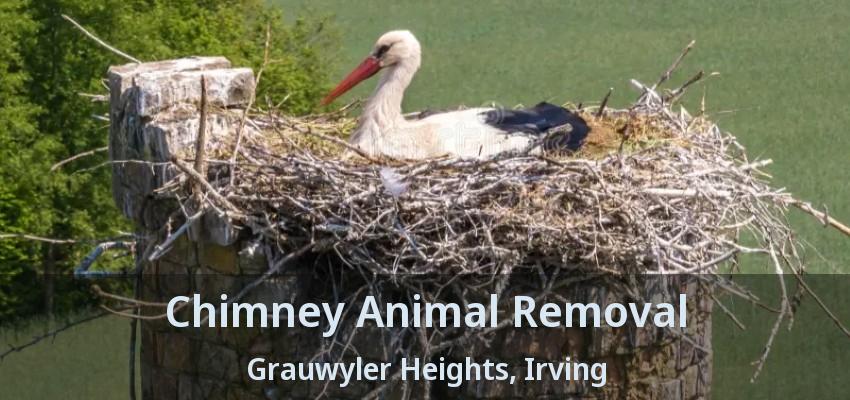 Chimney Animal Removal Grauwyler Heights, Irving - TX