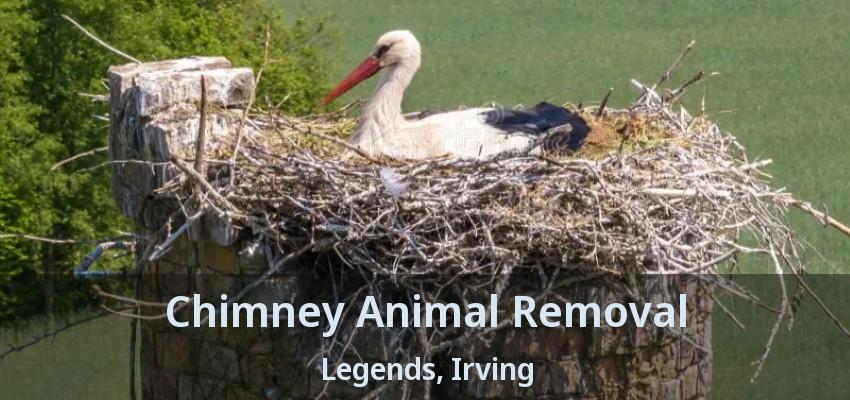 Chimney Animal Removal Legends, Irving - TX