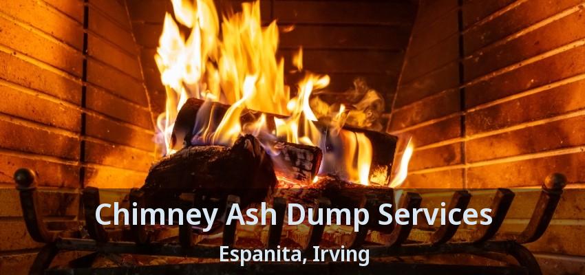 Chimney Ash Dump Services Espanita, Irving - TX