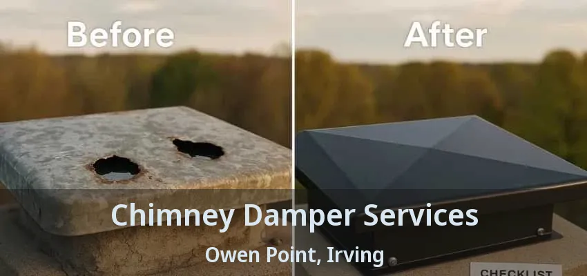 Chimney Damper Services Owen Point, Irving - TX