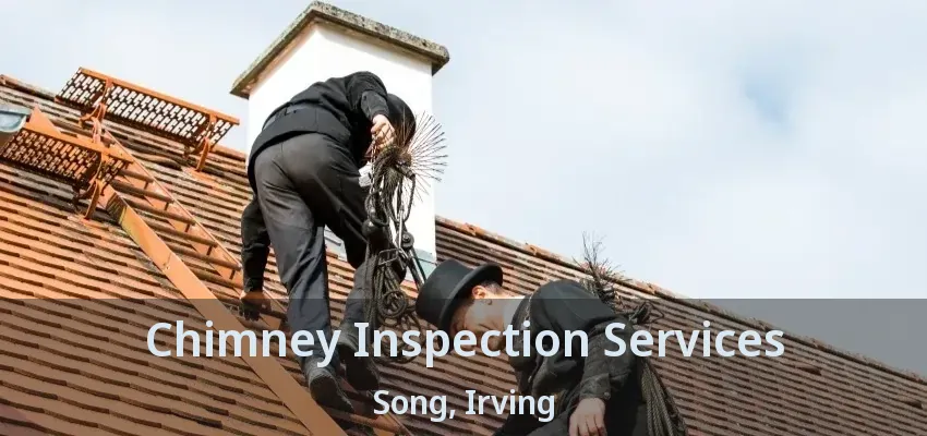 Chimney Inspection Services Song, Irving - TX