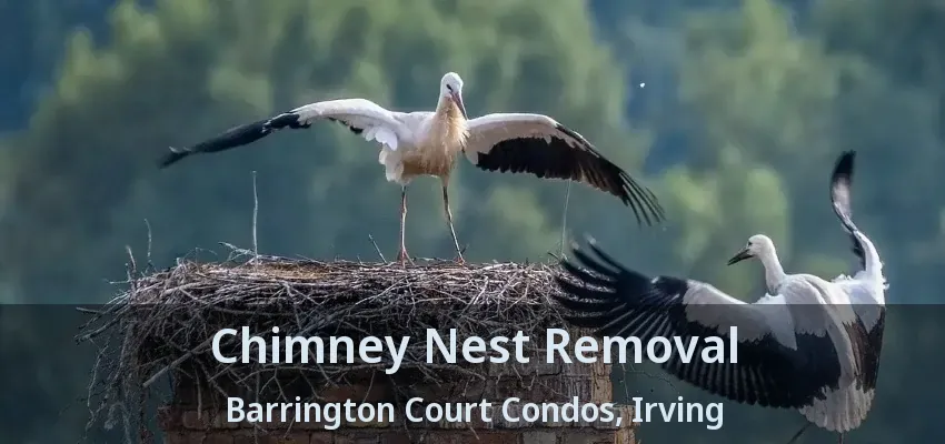 Chimney Nest Removal Barrington Court Condos, Irving - TX