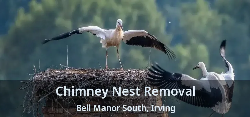 Chimney Nest Removal Bell Manor South, Irving - TX