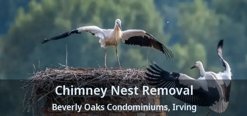 Chimney Nest Removal Beverly Oaks Condominiums, Irving - TX