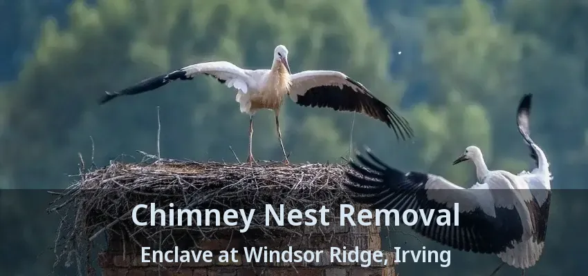 Chimney Nest Removal Enclave at Windsor Ridge, Irving - TX