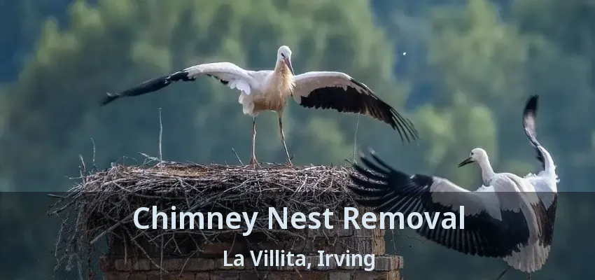 Chimney Nest Removal La Villita, Irving - TX