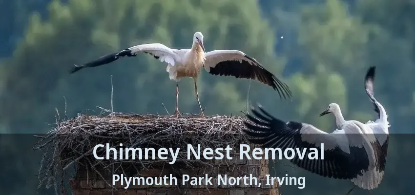Chimney Nest Removal Plymouth Park North, Irving - TX