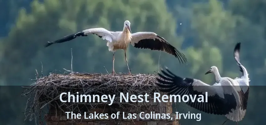 Chimney Nest Removal The Lakes of Las Colinas, Irving - TX