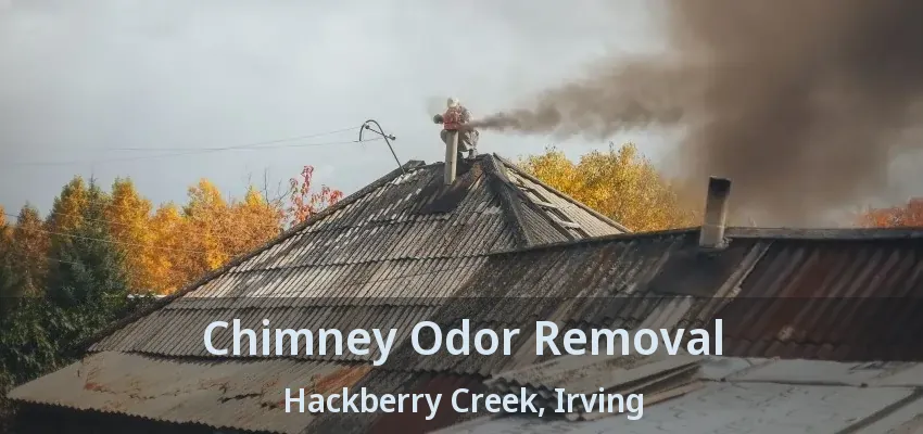 Chimney Odor Removal Hackberry Creek, Irving - TX