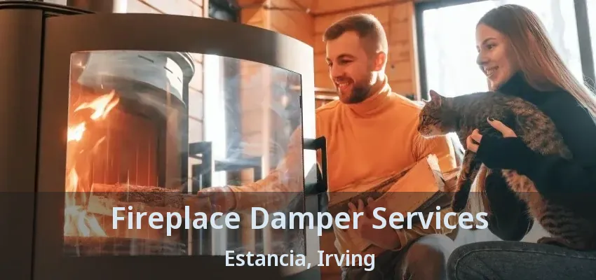 Fireplace Damper Services Estancia, Irving - TX