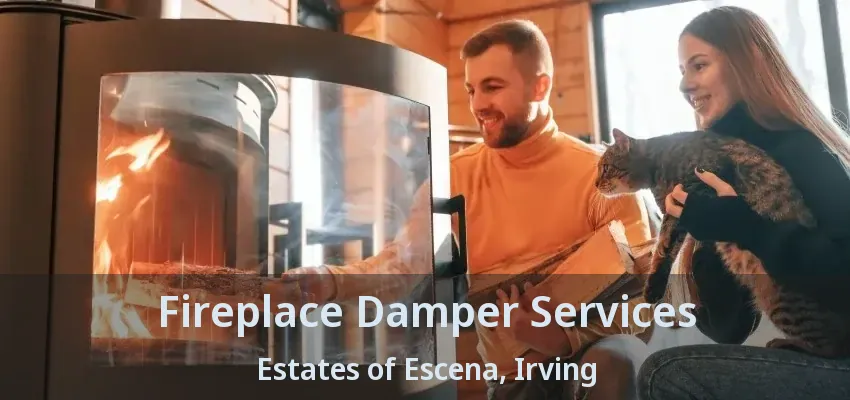 Fireplace Damper Services Estates of Escena, Irving - TX