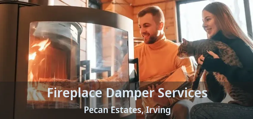 Fireplace Damper Services Pecan Estates, Irving - TX