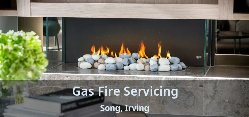 Gas Fire Servicing Song, Irving - TX