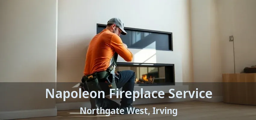 Napoleon Fireplace Service Northgate West, Irving - TX
