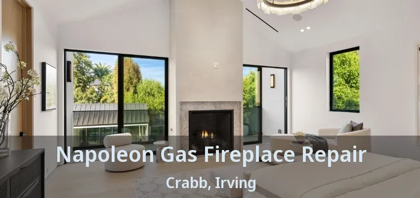 Napoleon Gas Fireplace Repair Crabb, Irving - TX