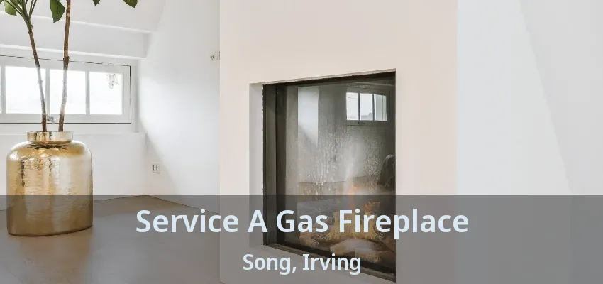 Service A Gas Fireplace Song, Irving - TX