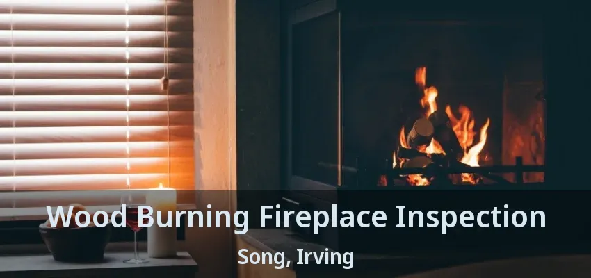 Wood Burning Fireplace Inspection Song, Irving - TX