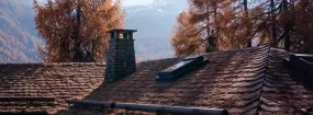 Chimney Animal Removal Irving