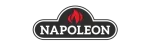 Napoleon Enviro Fireplace Repair in Irving